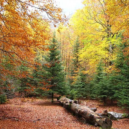 La Casita De Ordesa *