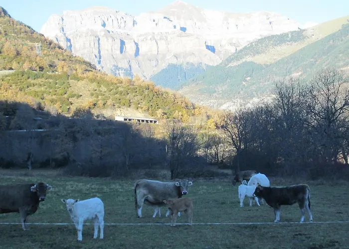 La Casita De Ordesa Frajén