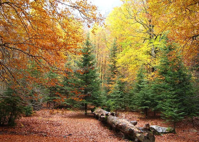 La Casita De Ordesa *